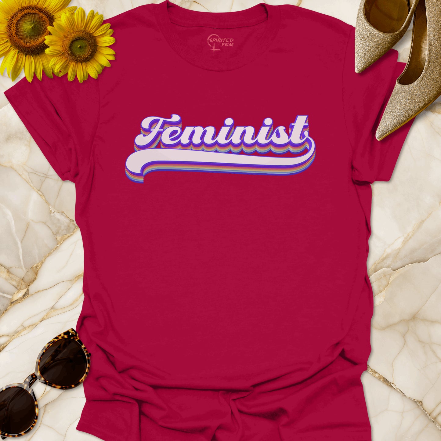 Five Colour Retro Feminist