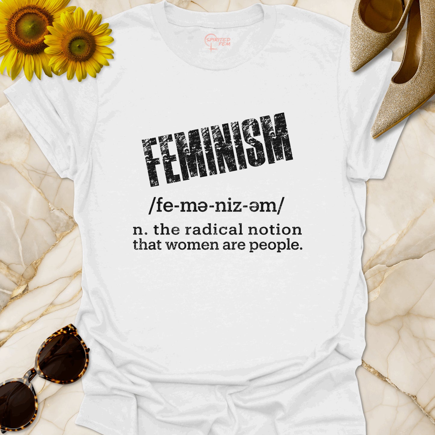 Feminism - The Radical Notion That Women Are People